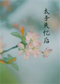 丞相夫人全文免费