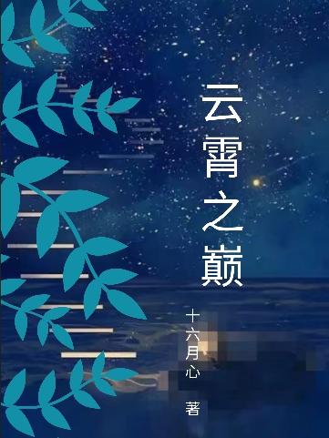 云霄之巅周叔秦雨小说