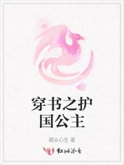 护国公txt
