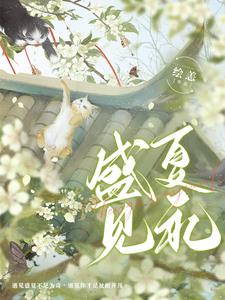 盛夏cp
