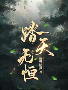 踏天无痕在线免费阅读