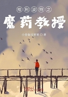 哈利波特之魔法觉醒中的魔杖是随机的吗