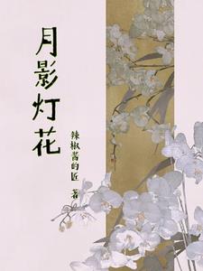月影灯饰线上线下价一样吗