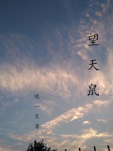 望天树