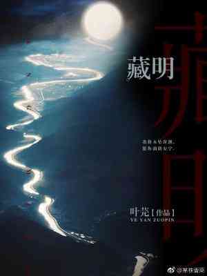 藏明小说简介